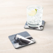 Dessous-de-verre Épaulard faisant une cabriole (Côté Droit)