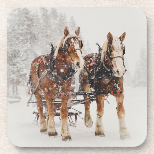 Dessous-de-verre Équipe de Belgique de cheval Wintery Christmas Sce (Devant)