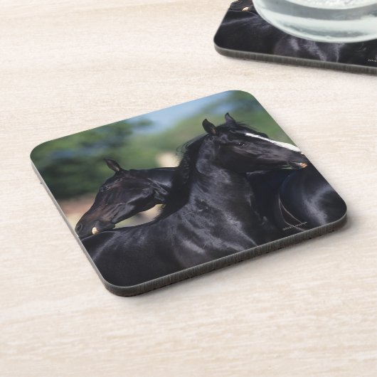 Dessous-de-verre Éraflure arabe de cheval (Côté gauche)