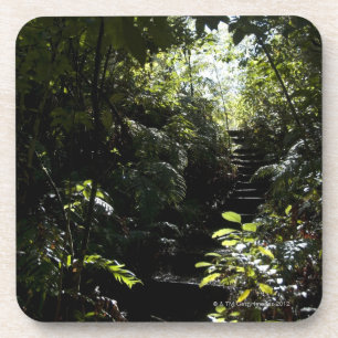 Dessous-de-verre Escalier/sentier piéton rustiques dans la forêt,