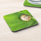 Dessous-de-verre escargot (Côté gauche)