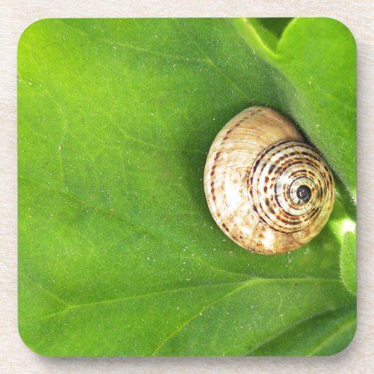 Dessous-de-verre escargot (Devant)