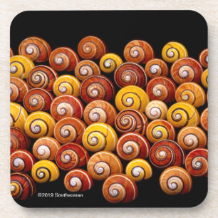 Dessous-de-verre Escargots cubains d'arbre