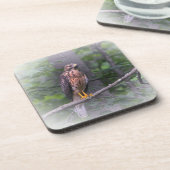 Dessous-de-verre Esprit Du Faucon (Côté gauche)