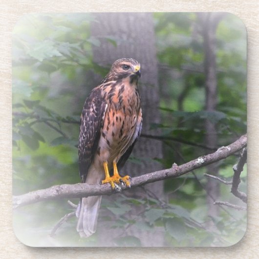 Dessous-de-verre Esprit Du Faucon (Devant)