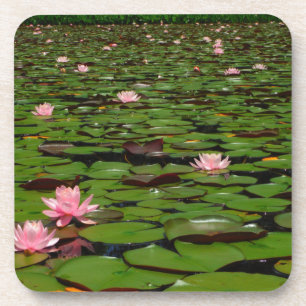 Dessous-de-verre Etang de fleurs de lys d'eau rose