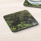 Dessous-de-verre Étang tropical de sel (Côté gauche)