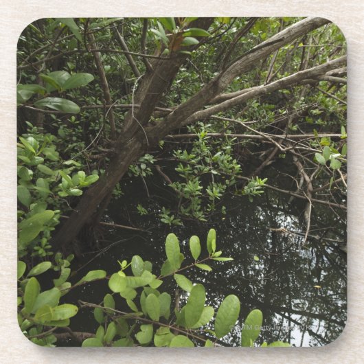 Dessous-de-verre Étang tropical de sel (Devant)