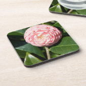 Dessous-de-verre États-Unis, Alabama, Théodore près de Mobile (Côté gauche)