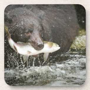 Dessous-de-verre États-Unis, Alaska, Anan Creek. Gros plan sur un o