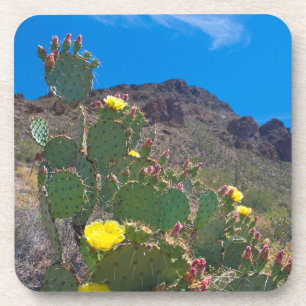 Dessous-de-verre États-Unis, Arizona. Cactus dans les collines