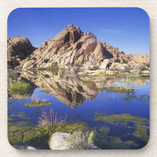 Dessous-de-verre États-Unis, Californie, Joshua Tree National Park,