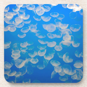 Dessous-de-verre États-Unis, Californie. Méduses dans la baie de Mo