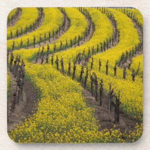 Dessous-de-verre États-Unis, Californie, Napa Valley, Los Carneros