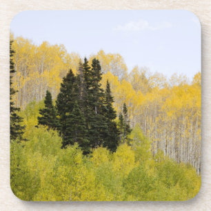 Dessous-de-verre États-Unis, Colorado, forêt nationale de Gunnison,