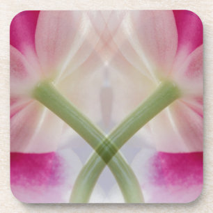 Dessous-de-verre États-Unis, Colorado, Lafayette. Montage d'orchidé