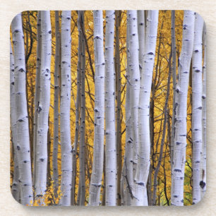 Dessous-de-verre États-Unis, Colorado, Montagnes Rocheuses. Scène i
