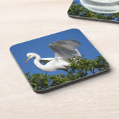 Dessous-de-verre États-Unis, Floride, St. Augustine, Aigrette (Côté gauche)