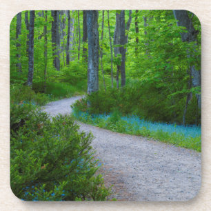 Dessous-de-verre États-Unis, Michigan. Chemin à travers les bois