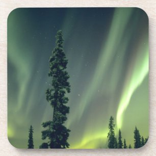 Dessous-de-verre États-Unis, région de Fairbanks, Alaska central,