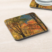 Dessous-de-verre États-Unis, Tennessee. Chute (Côté gauche)