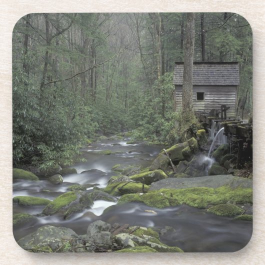 Dessous-de-verre États-Unis, Tennessee, Great Smoky Mountains Natio (Devant)