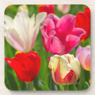 Dessous-de-verre États-Unis, Tennessee, Nashville