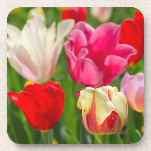 Dessous-de-verre États-Unis, Tennessee, Nashville (Devant)