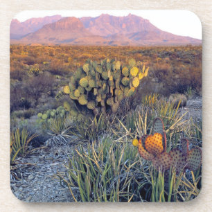 Dessous-de-verre États-Unis, Texas, Big Bend NP. Un crépuscule rose