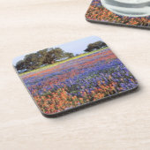 Dessous-de-verre États-Unis, Texas, Llano. Bluebonnets et redbonnet (Côté gauche)