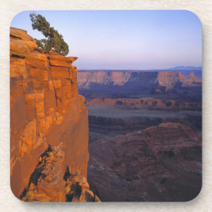 Dessous-de-verre États-Unis, Utah, Dead Horse Point SP. Lumière tar