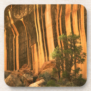 Dessous-de-verre États-Unis, Utah, parc national de Capitol Reef