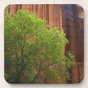 Dessous-de-verre États-Unis, Utah, Paria Canyon- Vermillion Cliffs