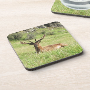 Dessous-de-verre Étiquettes de la Nouvelle-Zélande