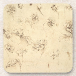 Dessous-de-verre Étude des fleurs de Herbe-comme des plantes (Briz