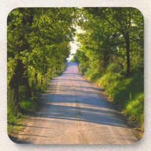 Dessous-de-verre Europe, Italie, Toscane, route bordée d'arbres