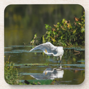 Dessous-de-verre Examen de l'aile Egret