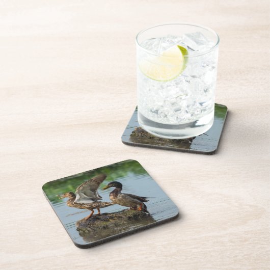 Dessous-de-verre Excusez-moi (Côté Droit)