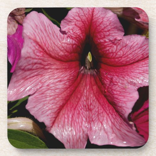 Dessous-de-verre Explosion Florale (Devant)