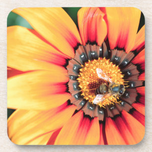 Dessous-de-verre Extrême Gros Plan D'une Abeille Collectant Du Poll