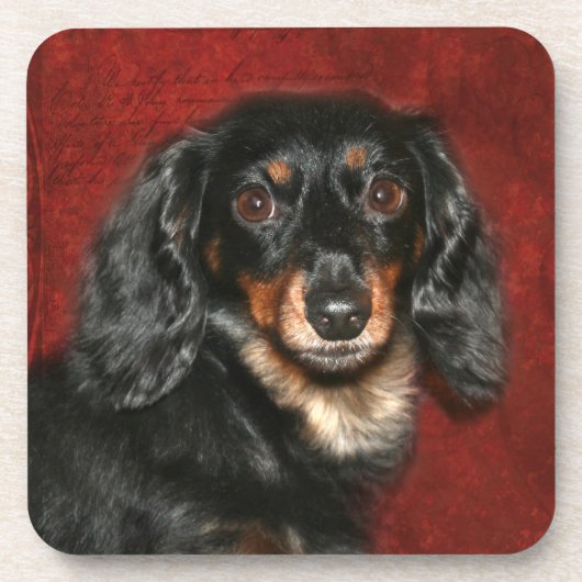 Dessous-de-verre Face Dachshund (Devant)