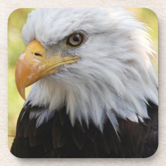 Dessous-de-verre Falln Bald Eagle Liberty (Devant)