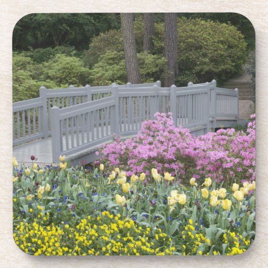 Dessous-de-verre Famille Azalea Heath (Ericaceae), Tulip et (Devant)