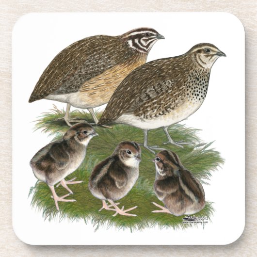 Dessous-de-verre Famille de Cailles Coturnix (Devant)