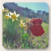 Dessous-de-verre fée à aile rouge et jonquilles (Devant)