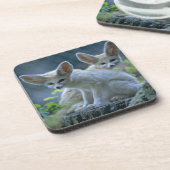 Dessous-de-verre Fennek (zerda de Vulpes) W�_stenfuchs, Fennec (Côté gauche)