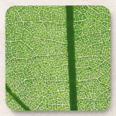 Dessous-de-verre Fermer la feuille verte (Devant)