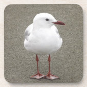 Dessous-de-verre Fermer un mouette (Devant)