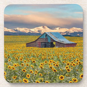 Dessous-de-verre Fermes Terrain tournesol