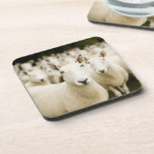 Dessous-de-verre Fermes | Troupeau de moutons (Côté gauche)